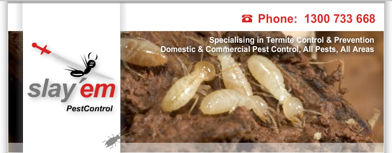 pest control mt eliza