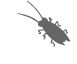 termite control mt eliza